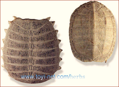 ������A��������A�y�ʍb�������ۂ�̍b