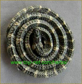 ������F����A��������̃}���V�E坎�