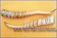 ������F����A��������̃��C���E�J�N