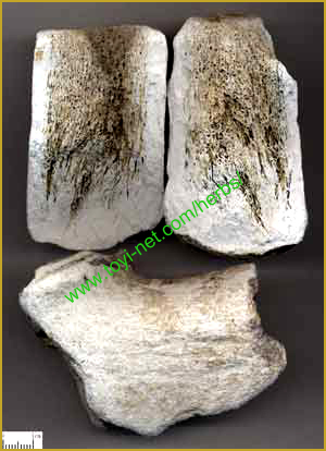 ������E����E��������̎��p��