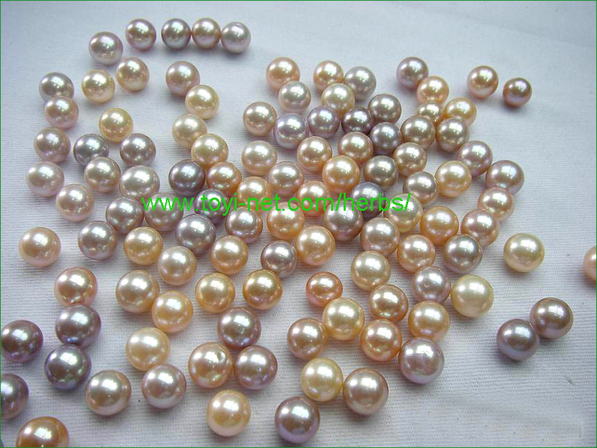 ������E����E��������̃V���W���i�^��j