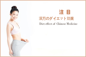 ������ł̃_�C�G�b�g