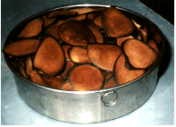 �����i���N�W���E�j�j