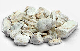 —³œ(‚è‚イ‚±‚Â)