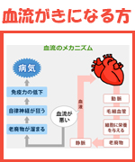 ������Q�̕��ɓc���l�Q����������