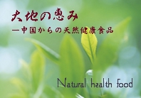 �������i�\�[���C�t�j