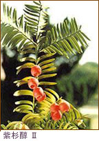 ���񎡗Ö�V��t